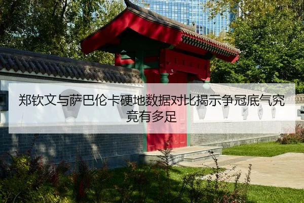 郑钦文与萨巴伦卡硬地数据对比揭示争冠底气究竟有多足